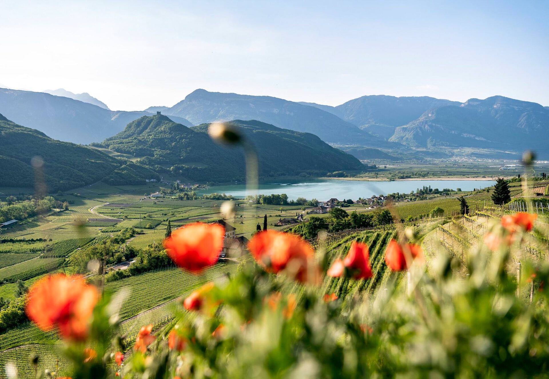 Kaltern im Frühjahr