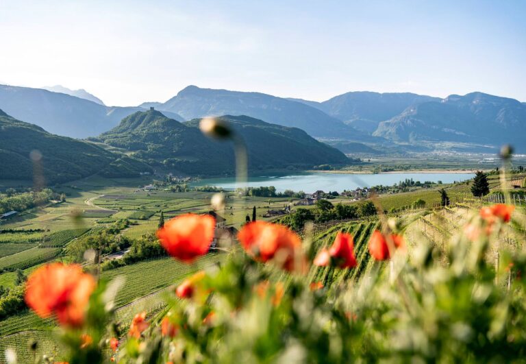 Kaltern im Frühjahr